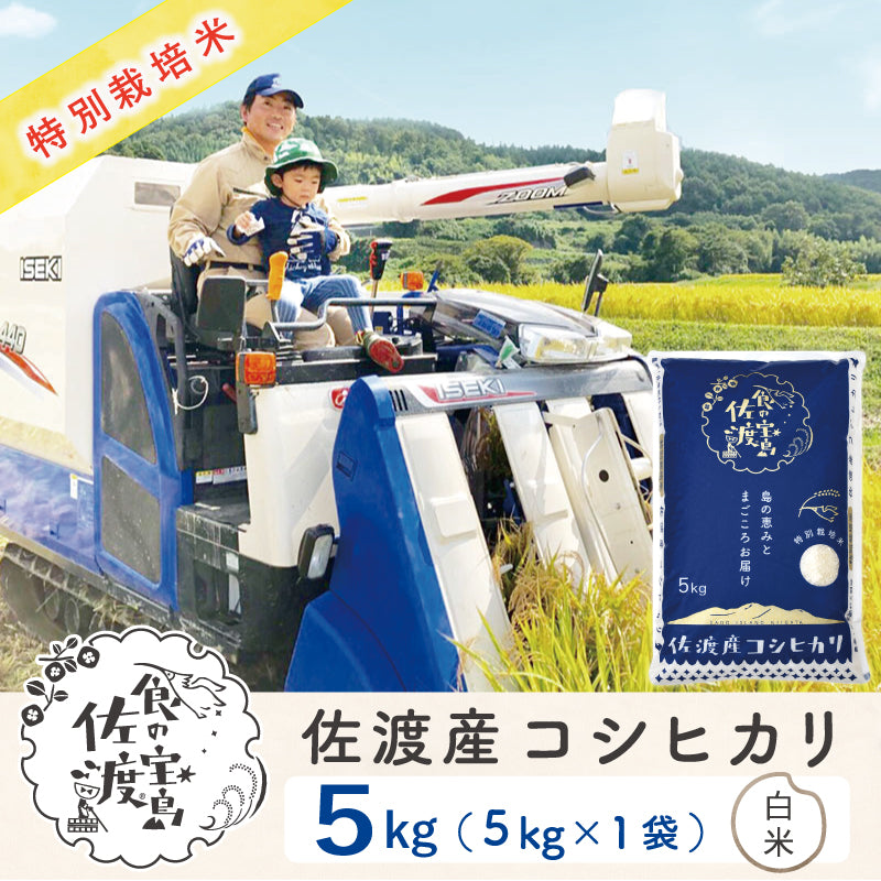 〈先行予約〉佐渡島産 コシヒカリ
 白米5Kg×1袋
  【令和7年産】特別栽培米(9月下旬以降発送)