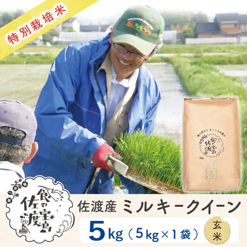 佐渡島産 ミルキークイーン 
 玄米5Kg×1袋
  《特別栽培米》