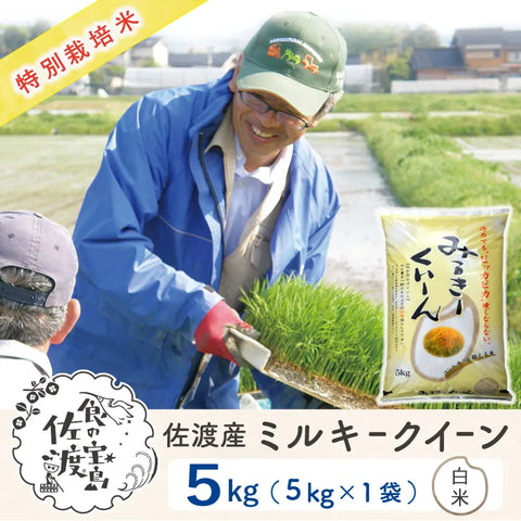 佐渡島産 ミルキークイーン 
 白米5Kg×1袋
  《特別栽培米》