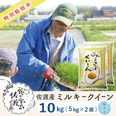 佐渡島産 ミルキークイーン 
 無洗米10Kg (5Kg×2袋）
 《特別栽培米》