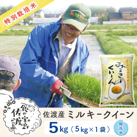 佐渡島産 ミルキークイーン 
 無洗米5Kg×1袋
  《特別栽培米》