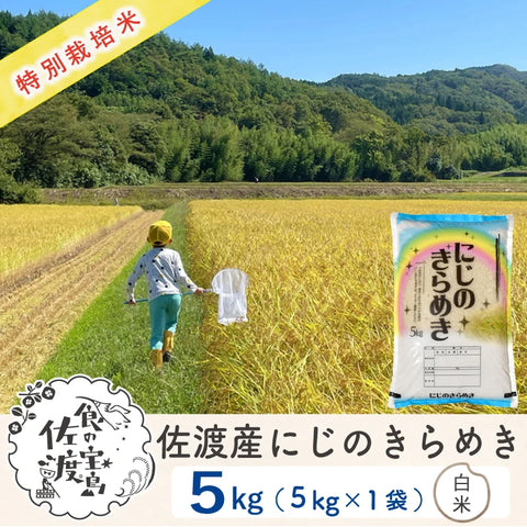 〈先行予約〉佐渡島産 にじのきらめき
 白米5Kg×1袋
  【令和7年産】特別栽培米(10月中旬以降発送)