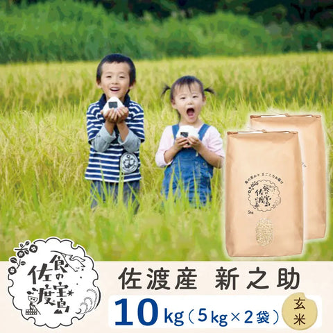 佐渡島産 新之助 
 玄米10Kg (5Kg×2袋）