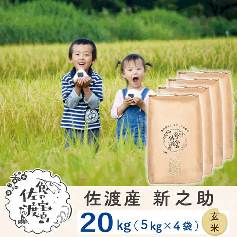 佐渡島産 新之助 
 玄米20Kg (5Kg×4袋）