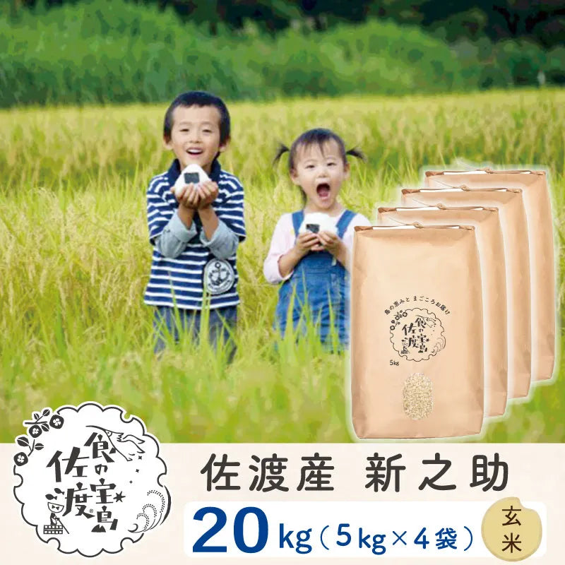 佐渡島産 新之助 
 玄米20Kg (5Kg×4袋）