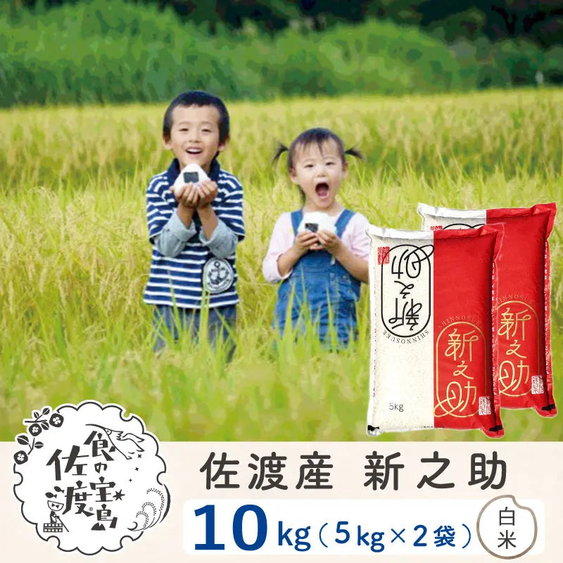 佐渡島産 新之助 
 白米10Kg (5Kg×2袋）