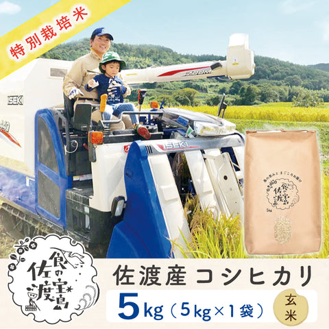 佐渡島産 コシヒカリ
玄米5Kg×1袋
 《特別栽培米》