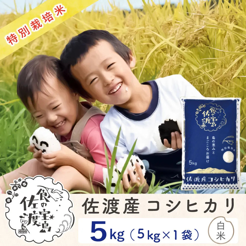 佐渡島産 コシヒカリ 
 白米 5Kg×1袋 
 特別栽培米【令和6年産】