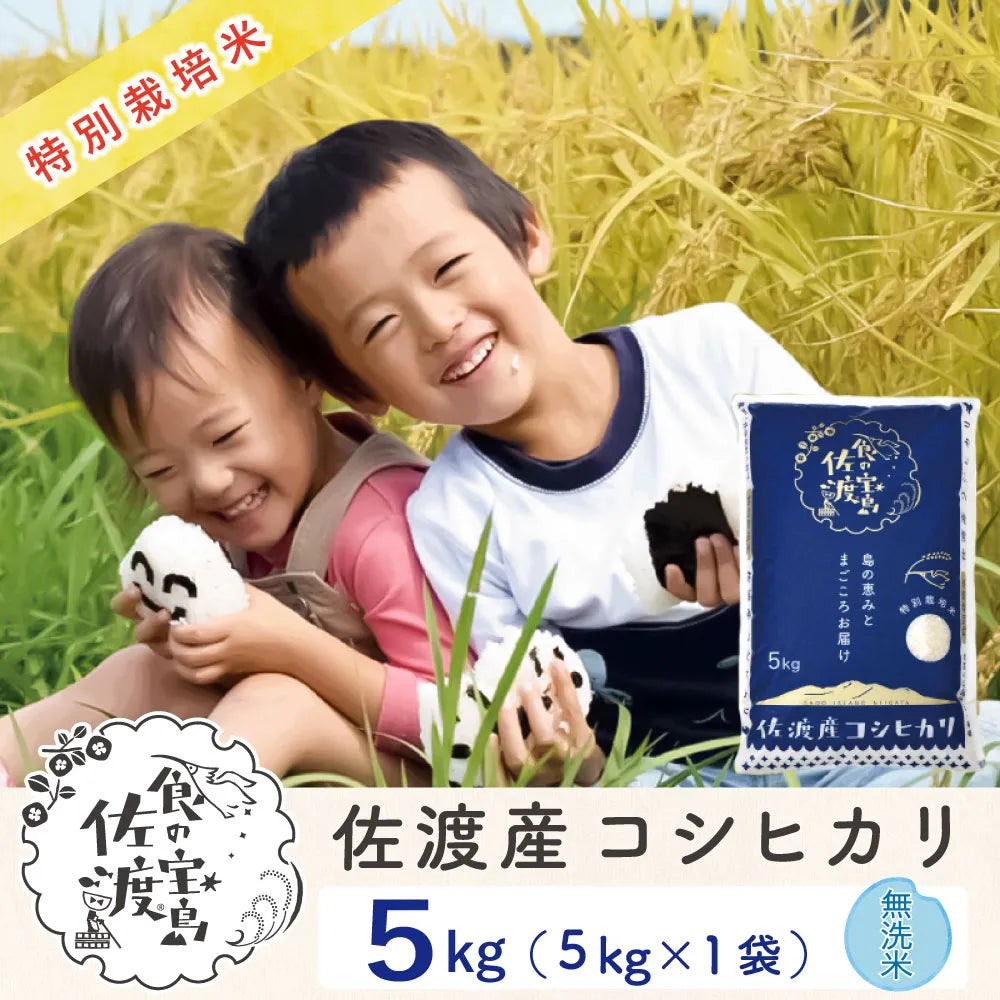 佐渡島産 コシヒカリ 
 無洗米 5Kg×1袋 
 特別栽培米【令和6年産】