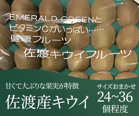 佐渡産キウイフルーツ サイズおまかせ（36～24個）