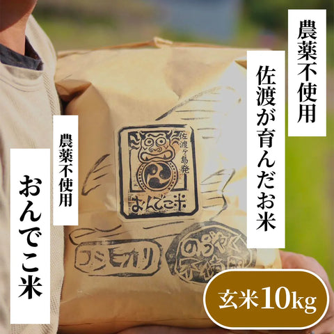 だるま庵農園の農薬不使用コシヒカリ玄米10kg「おんでこ米」