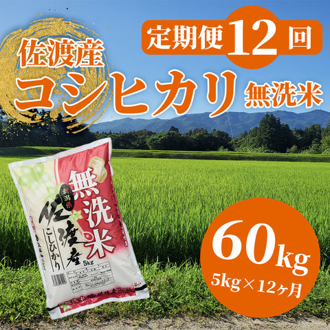 【定期便12回】佐渡産コシヒカリ5割減減米 無洗米(5kg×1袋×12回)