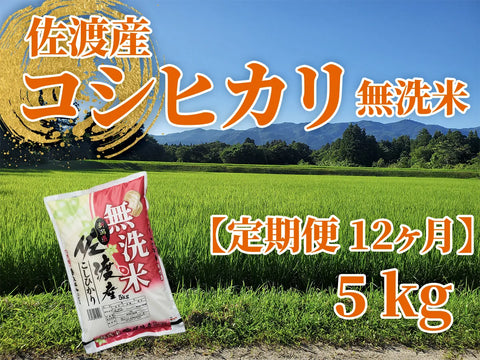 【定期便12回】佐渡産コシヒカリ5割減減米 5kg（無洗米）