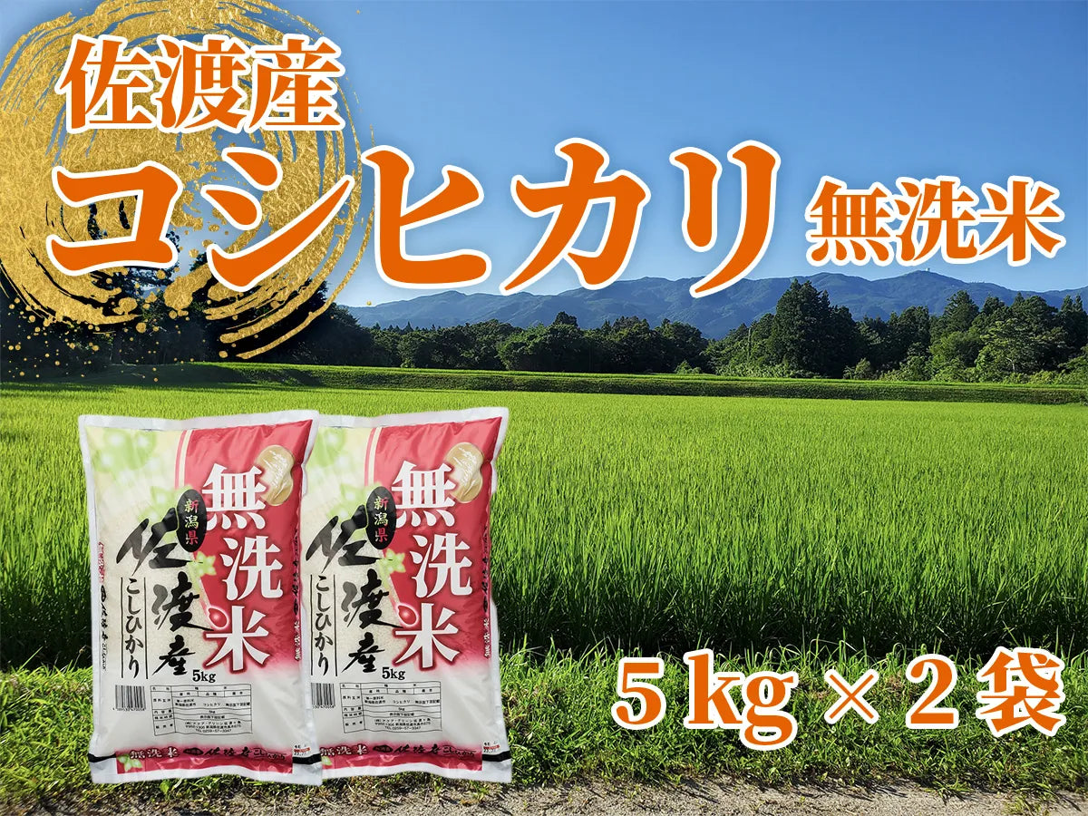 佐渡産コシヒカリ 5kg×2袋（無洗米）