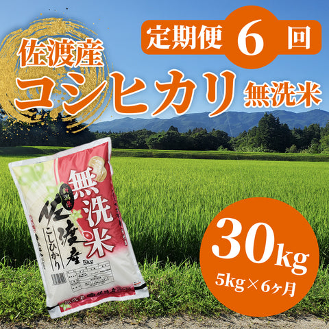【定期便6回】佐渡産コシヒカリ5割減減米 無洗米(5kg×1袋×6回)