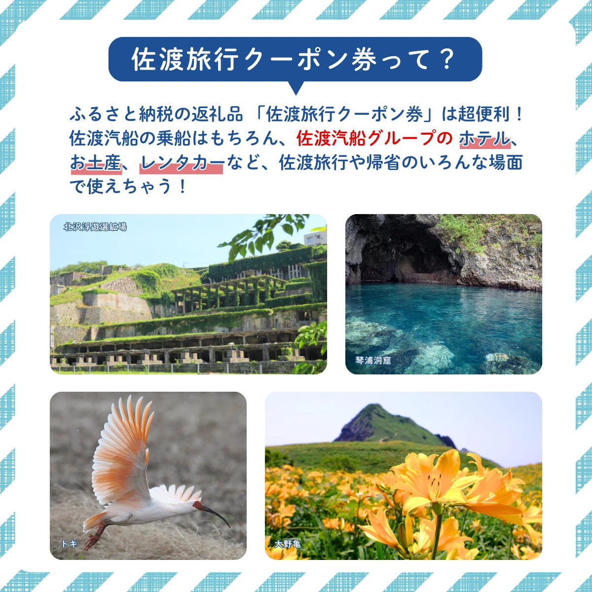 佐渡旅行クーポン券（12,000円分）