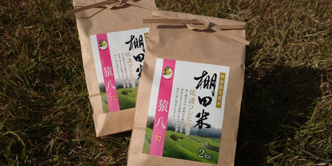 佐渡島の棚田米（猿八地区）
 白米4kg（2Kg×2袋）