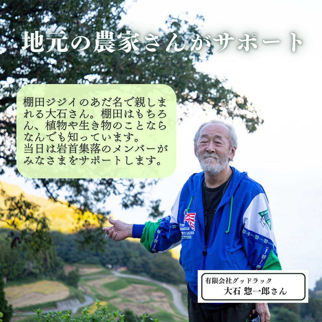 岩首昇竜棚田稲刈り体験
 (大人１名プラン)