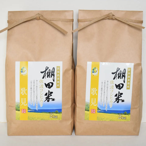 佐渡島の棚田米（歌見地区）
 白米4kg（2Kg×2袋）【令和6年産】